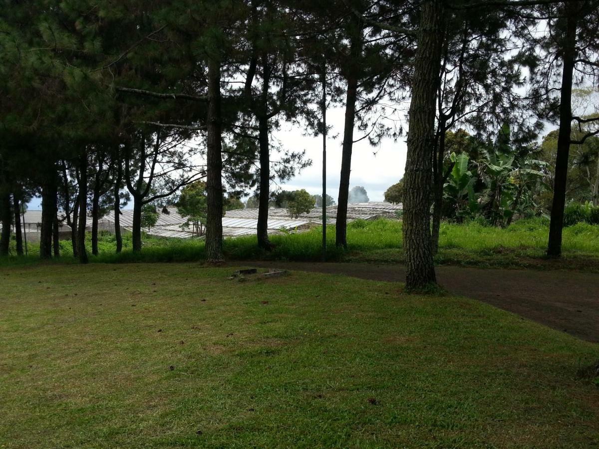 Villa 5Cemara Lembang Bagian luar foto